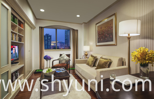 Superior Executive One-Bedroom Apartment